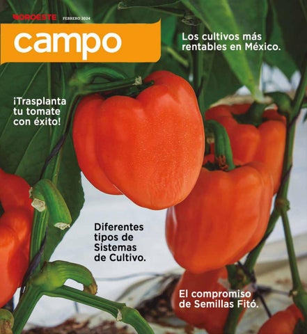 Revista Campo Noroeste
