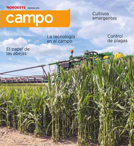 Revista Campo 2025